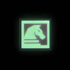 TD Horse Patch -GLOW IN THE DARK