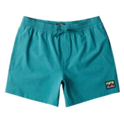Billabong Every Other Day LB Shorts 16"